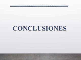CONCLUSIONES
 