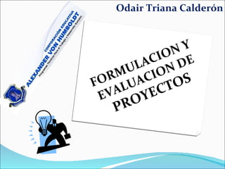 FORMULACION Y EVALUACION DE  PROYECTOS Odair Triana Calderón 