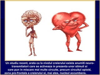 Un studiu recent, arata ca la nivelul creierului exista anumiti neuro-
transmitatori care se activeaza in prezenta unor stimuli si
care pun in miscare mai multe circuite, precum circuitul opioid,
zona pre-frontala a creierului si, mai ales, nucleul accumbens.
 