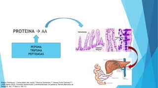 PROTEINA  AA
PEPSINA
TRIPSINA
PEPTIDASAS
Rubens Feferbaum,* Cistina Miuki Abe Jacob,** Patricia Zamberlan,*** Vanesa Fuchs Tarlovky****.
(Julio-agosto 2010). Formulas elemenntales y semielementales en pediatria. Revista Mexicana de
Pediatria, Vol. 77 Num.4, 164-171.
 