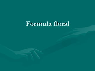 Formula floral 