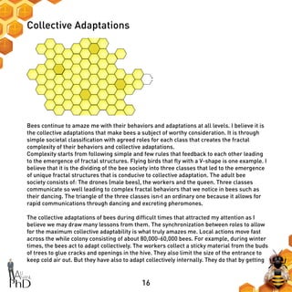 16
Collective Adaptations
Bees continue to amaze me with their behaviors and adaptations at all levels. I believe it is
the collective adaptations that make bees a subject of worthy consideration. It is through
simple societal classification with agreed roles for each class that creates the fractal
complexity of their behaviors and collective adaptations.
Complexity starts from following simple and few rules that feedback to each other leading
to the emergence of fractal structures. Flying birds that fly with a V-shape is one example. I
believe that it is the dividing of the bee society into three classes that led to the emergence
of unique fractal structures that is conducive to collective adaptation. The adult bee
society consists of: The drones (male bees), the workers and the queen. Three classes
communicate so well leading to complex fractal behaviors that we notice in bees such as
their dancing. The triangle of the three classes isn›t an ordinary one because it allows for
rapid communications through dancing and excreting pheromones.
The collective adaptations of bees during difficult times that attracted my attention as I
believe we may draw many lessons from them. The synchronization between roles to allow
for the maximum collective adaptability is what truly amazes me. Local actions move fast
across the while colony consisting of about 80,000-60,000 bees. For example, during winter
times, the bees act to adapt collectively. The workers collect a sticky material from the buds
of trees to glue cracks and openings in the hive. They also limit the size of the entrance to
keep cold air out. But they have also to adapt collectively internally. They do that by getting
 