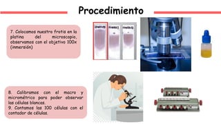 Procedimiento
7. Colocamos nuestro frotis en la
platina del microscopio,
observamos con el objetivo 100x
(inmersión)
8. Calibramos con el macro y
micrométrico para poder observar
las células blancas.
9. Contamos las 100 células con el
contador de células.
 