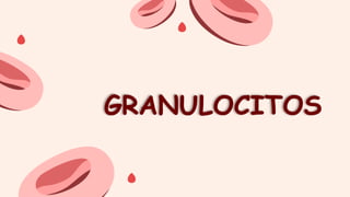 GRANULOCITOS
 