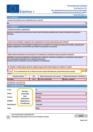 Si su contestación es SI, se abrirá un nuevo campo solicitando las características de las ayudas
Persona
autorizada
para
representar
legalmente a
la institución
 