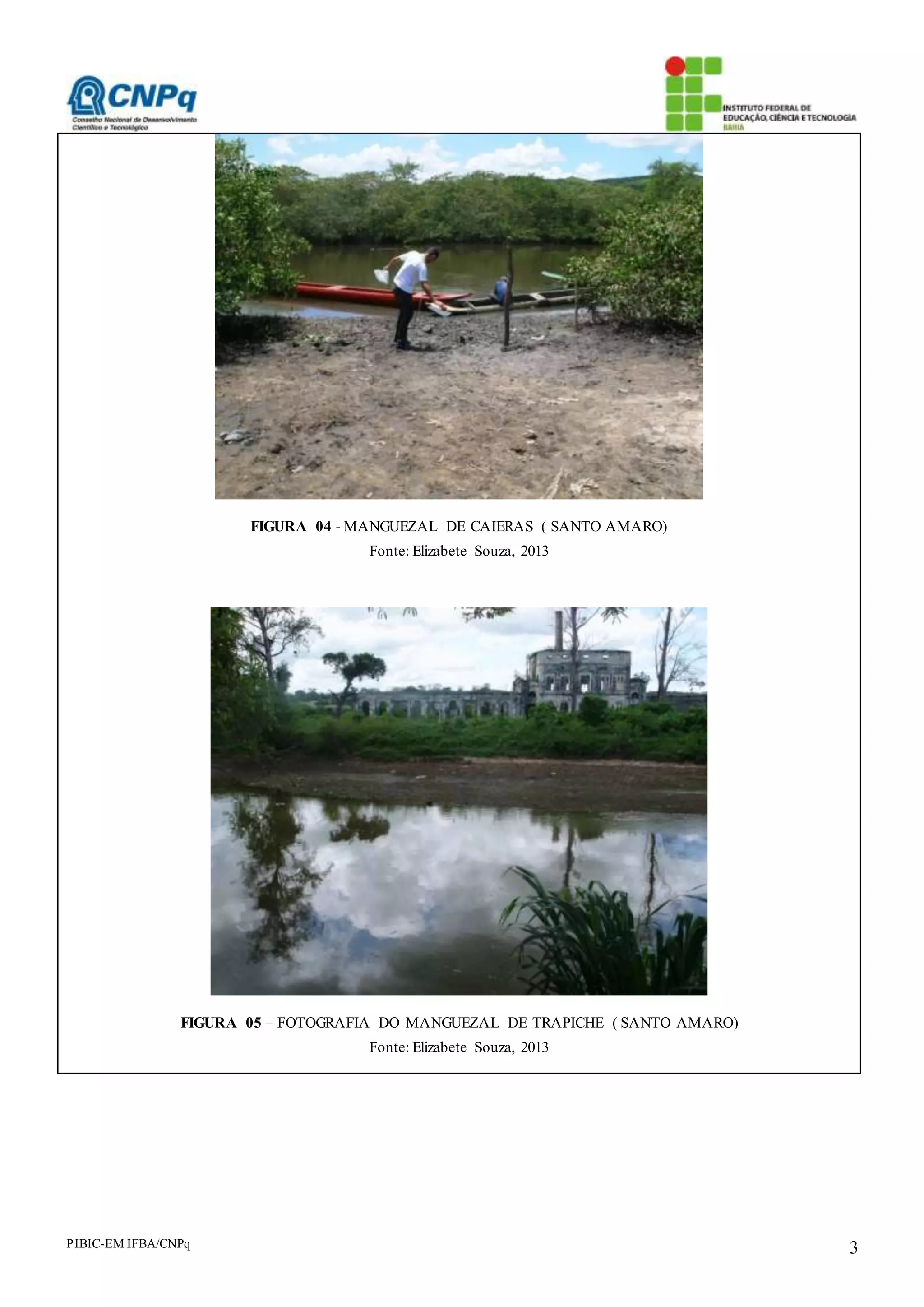 PIBIC-EM IFBA/CNPq 3
FIGURA 04 - MANGUEZAL DE CAIERAS ( SANTO AMARO)
Fonte: Elizabete Souza, 2013
FIGURA 05 – FOTOGRAFIA DO MANGUEZAL DE TRAPICHE ( SANTO AMARO)
Fonte: Elizabete Souza, 2013
 