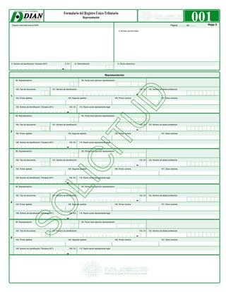 Formulario RUT | PDF