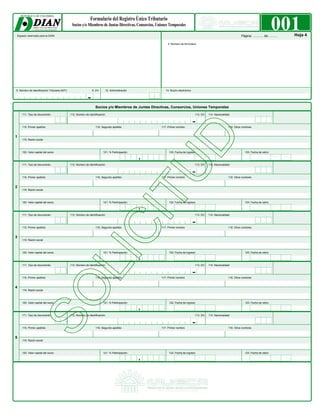 Formulario RUT | PDF