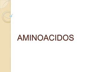 AMINOACIDOS

 