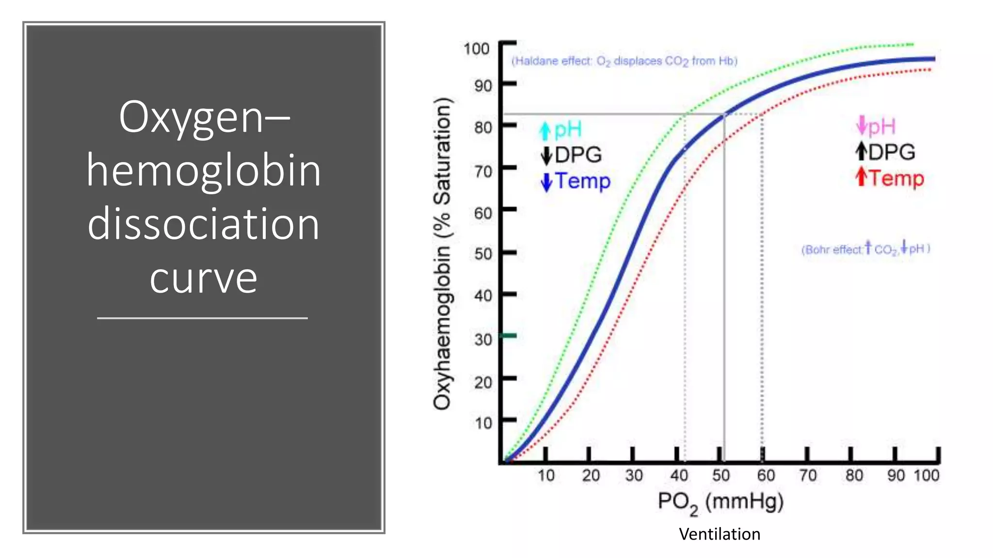 Oxygen–
hemoglobin
dissociation
curve
Ventilation