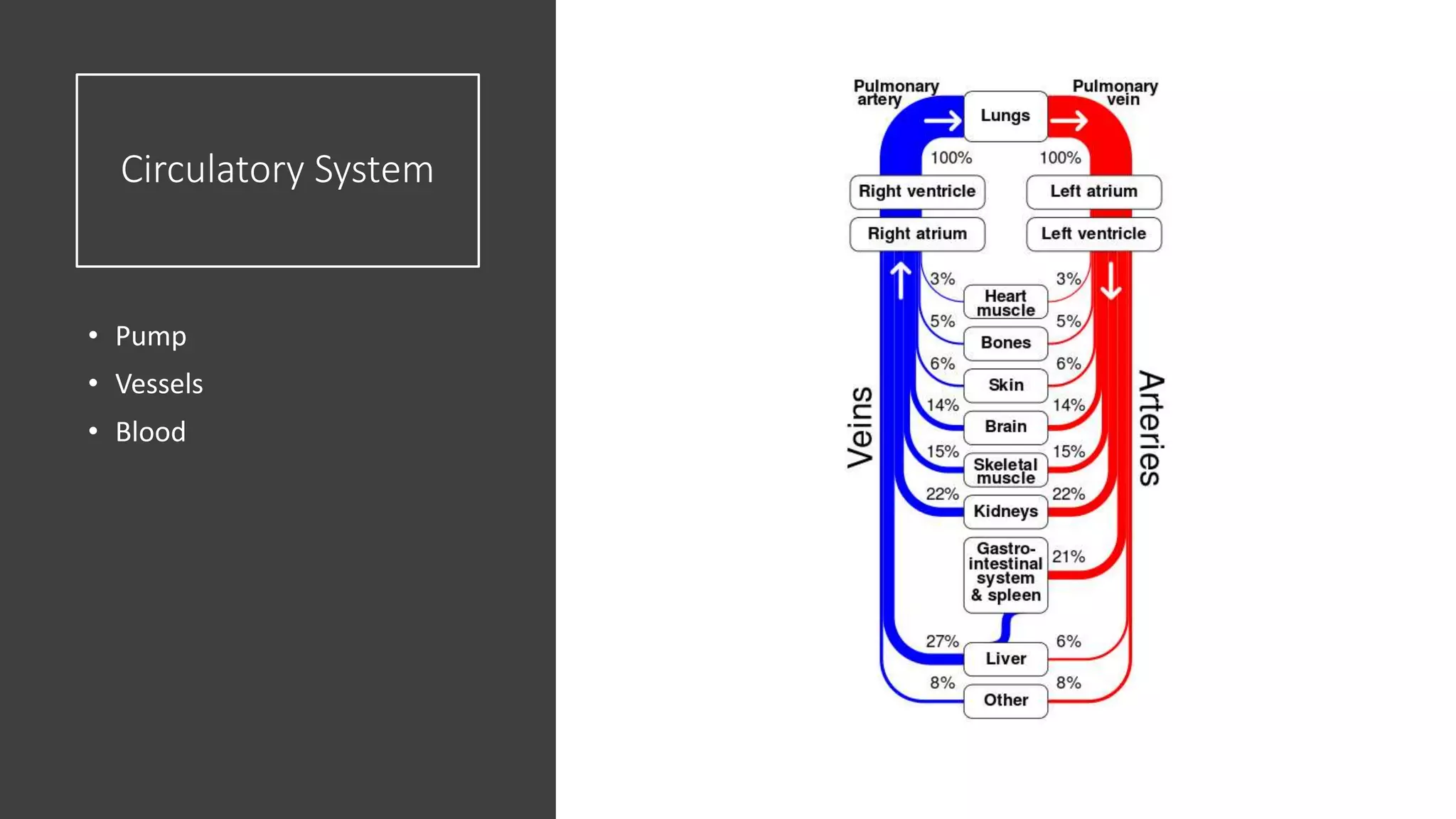 Circulatory System
• Pump
• Vessels
• Blood