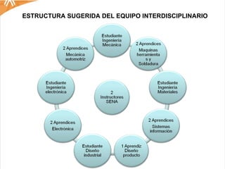 ESTRUCTURA SUGERIDA DEL EQUIPO INTERDISCIPLINARIO 