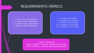 REQUERIMIENTO HÍDRICO
< 1 mes  70 a 100 ml/toma
1 – 2 meses  90 a 120ml/toma
2 – 4 meses  120 a 210ml/toma
>4 meses  150 a 240ml/toma
1 – 4 meses  8 tomas
4 – 6 meses  6 a 8 tomas
6 – 8 meses  4 a 6 tomas
8 – 10 meses  3 a 4 tomas
10 – 12 meses  2 a 3 tomas
< 10kg  100mlkgdía
>10kg  1000ml + 50ml por cada kg arriba de 10kg
>20kg  1500ml + 20ml por cada kg arriba de 20kg
 