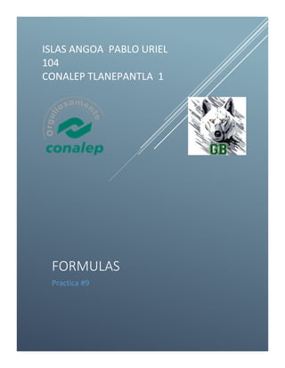 ISLAS ANGOA PABLO URIEL
104
CONALEP TLANEPANTLA 1
FORMULAS
Practica #9
 