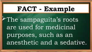 PRE-TEST
FACT - Example
The sampaguita’s roots
are used for medicinal
purposes, such as an
anesthetic and a sedative.
 