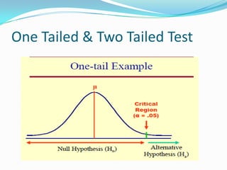 One Tailed & Two Tailed Test
