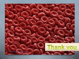 Research Summer School 64
 