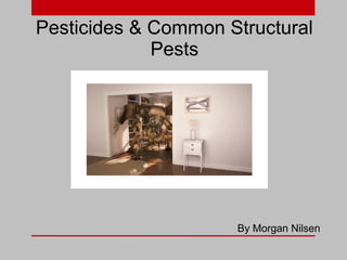 Pesticides & Common Structural
Pests

By Morgan Nilsen

 