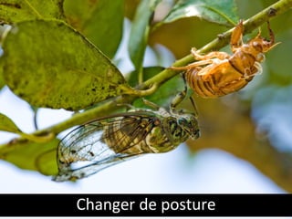 Changer de posture 