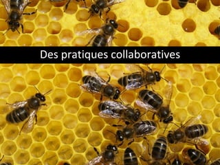 Des pratiques collaboratives 