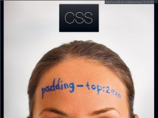 CSS
http://www.ﬂickr.com/photos/exey/3142529230
 