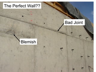 The Perfect Wall??


                     Bad Joint



        Blemish
 