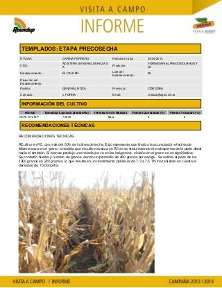 Agrotestigo-Maiz DEKALB-Campaña 1314-Informe Precosecha-Fornasari Alfredo-Nº 53