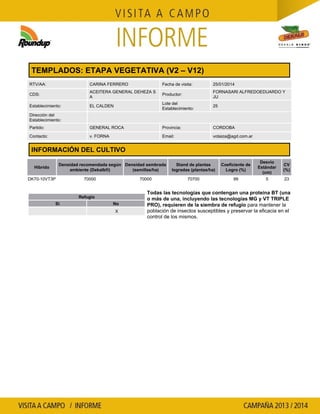 TEMPLADOS: ETAPA VEGETATIVA (V2 – V12)
RTV/AA:

CARINA FERRERO

Fecha de visita:

25/01/2014

CDS:

ACEITERA GENERAL DEHEZA S
A

Productor:

FORNASARI ALFREDOEDUARDO Y
JU

Establecimiento:

EL CALDEN

Lote del
Establecimiento:

25

Partido:

GENERAL ROCA

Provincia:

CORDOBA

Contacto:

v. FORNA

Email:

votaiza@agd.com.ar

Dirección del
Establecimiento:

INFORMACIÓN DEL CULTIVO
Densidad recomendada según Densidad sembrada
ambiente (Dekalb®)
(semillas/ha)

Híbrido
DK70-10VT3P

70000

70000

Refugio
Si

No
X

Stand de plantas
logradas (plantas/ha)

Coeficiente de
Logro (%)

Desvío
Estándar
(cm)

CV
(%)

70700

99

5

23

Todas las tecnologías que contengan una proteína BT (una
o más de una, incluyendo las tecnologías MG y VT TRIPLE
PRO), requieren de la siembra de refugio para mantener la
población de insectos susceptibles y preservar la eficacia en el
control de los mismos.

 