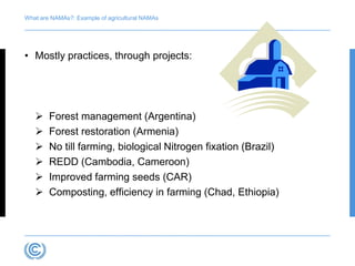 Forner NAMA overview july 2012