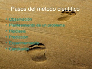 Pasos del método científico
•   Observación
•   Planteamiento de un problema
•   Hipótesis
•   Predicción
•   Experimentación
•   Conclusión
 
