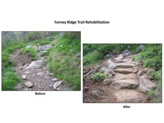 Forney Ridge Trail Rehabilitation




Before



                                             After
 