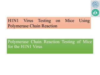Polymerase Chain Reaction Testing of Mice
for the H1N1 Virus
H1N1 Virus Testing on Mice Using
Polymerase Chain Reaction
 
