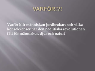 Varför blir människan jordbrukare och vilka
konsekvenser har den neolitiska revolutionen
fått för människor, djur och natur?
 