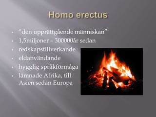 • ”den upprättgående människan”
• 1,5miljoner – 300000år sedan
• redskapstillverkande
• eldanvändande
• hygglig språkförmåga
• lämnade Afrika, till
Asien sedan Europa
 