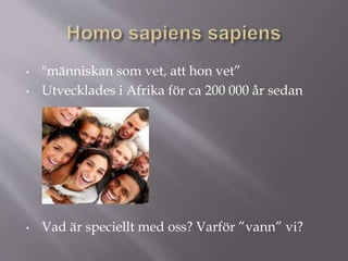 • "människan som vet, att hon vet”
• Utvecklades i Afrika för ca 200 000 år sedan
• Vad är speciellt med oss? Varför ”vann” vi?
 
