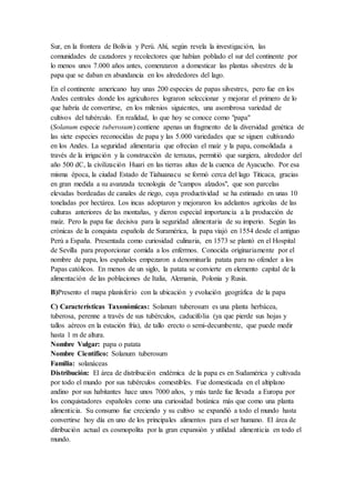 Sur, en la frontera de Bolivia y Perú. Ahí, según revela la investigación, las
comunidades de cazadores y recolectores que habían poblado el sur del continente por
lo menos unos 7.000 años antes, comenzaron a domesticar las plantas silvestres de la
papa que se daban en abundancia en los alrededores del lago.
En el continente americano hay unas 200 especies de papas silvestres, pero fue en los
Andes centrales donde los agricultores lograron seleccionar y mejorar el primero de lo
que habría de convertirse, en los milenios siguientes, una asombrosa variedad de
cultivos del tubérculo. En realidad, lo que hoy se conoce como "papa"
(Solanum especie tuberosum) contiene apenas un fragmento de la diversidad genética de
las siete especies reconocidas de papa y las 5.000 variedades que se siguen cultivando
en los Andes. La seguridad alimentaria que ofrecían el maíz y la papa, consolidada a
través de la irrigación y la construcción de terrazas, permitió que surgiera, alrededor del
año 500 dC, la civilización Huari en las tierras altas de la cuenca de Ayacucho. Por esa
misma época, la ciudad Estado de Tiahuanacu se formó cerca del lago Titicaca, gracias
en gran medida a su avanzada tecnología de "campos alzados", que son parcelas
elevadas bordeadas de canales de riego, cuya productividad se ha estimado en unas 10
toneladas por hectárea. Los incas adoptaron y mejoraron los adelantos agrícolas de las
culturas anteriores de las montañas, y dieron especial importancia a la producción de
maíz. Pero la papa fue decisiva para la seguridad alimentaria de su imperio. Según las
crónicas de la conquista española de Suramérica, la papa viajó en 1554 desde el antiguo
Perú a España. Presentada como curiosidad culinaria, en 1573 se plantó en el Hospital
de Sevilla para proporcionar comida a los enfermos. Conocida originariamente por el
nombre de papa, los españoles empezaron a denominarla patata para no ofender a los
Papas católicos. En menos de un siglo, la patata se convierte en elemento capital de la
alimentación de las poblaciones de Italia, Alemania, Polonia y Rusia.
B)Presento el mapa planisferio con la ubicación y evolución geográfica de la papa
C) Características Taxonómicas: Solanum tuberosum es una planta herbácea,
tuberosa, perenne a través de sus tubérculos, caducifolia (ya que pierde sus hojas y
tallos aéreos en la estación fría), de tallo erecto o semi-decumbente, que puede medir
hasta 1 m de altura.
Nombre Vulgar: papa o patata
Nombre Científico: Solanum tuberosum
Familia: solanáceas
Distribución: El área de distribución endémica de la papa es en Sudamérica y cultivada
por todo el mundo por sus tubérculos comestibles. Fue domesticada en el altiplano
andino por sus habitantes hace unos 7000 años, y más tarde fue llevada a Europa por
los conquistadores españoles como una curiosidad botánica más que como una planta
alimenticia. Su consumo fue creciendo y su cultivo se expandió a todo el mundo hasta
convertirse hoy día en uno de los principales alimentos para el ser humano. El área de
ditribución actual es cosmopolita por la gran expansión y utilidad alimenticia en todo el
mundo.
 