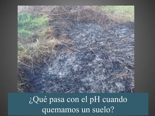 ¿Qué pasa con el pH cuando
   quemamos un suelo?
 