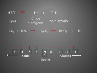 H2O             H+    +       OH-
              Ión de
agua                         Ión hidróxilo
            hidrógeno

CO2 + H2O            H2CO3          HCO3-    +   H+




  3    4    5   6             8     9 10 11
       Acido
                        7           Alcalino
                     Neutro
 