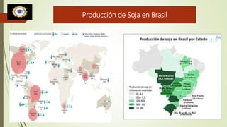 Producción de Soja en Brasil
 