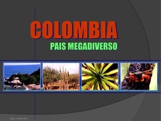 COLOMBIA
                     PAIS MEGADIVERSO




Abg. Ludwing M.C.
 