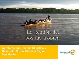 La gestión del
                 bosque tropical
Agroforestería, Cambio Climático y
Desarrollo Sostenible en la Región
San Martín
 