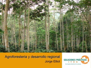 Agroforesteria y desarrollo regional
                                Jorge Elliot
                     Sub programa productos
                 ecosistemas tropicales 22/7/2010
 