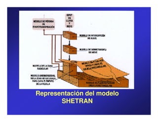 Representación del modelo
       SHETRAN
 