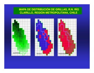 MAPA DE DISTRIBUCIÓN DE GRILLAS, R.N. RÍO
      CLARILLO, REGIÓN METROPOLITANA, CHILE




ALTITUD           SUELO          VEGETACIÓN
 