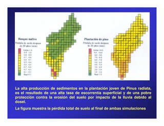 La alta producción de sedimentos en la plantación joven de Pinus radiata,
es el resultado de una alta tasa de escorrentía superficial y de una pobre
protección contra la erosión del suelo por impacto de la lluvia debido al
dosel.
La figura muestra la pérdida total de suelo al final de ambas simulaciones
 