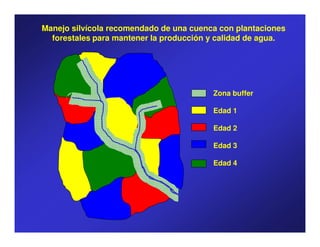 Manejo silvícola recomendado de una cuenca con plantaciones
  forestales para mantener la producción y calidad de agua.




                                         Zona buffer

                                         Edad 1

                                         Edad 2

                                         Edad 3

                                         Edad 4
 