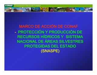 MARCO DE ACCIÓN DE CONAF
- PROTECCIÓN Y PRODUCCIÓN DE
  RECURSOS HÍDRICOS Y SISTEMA
 NACIONAL DE ÁREAS SILVESTRES
     PROTEGIDAS DEL ESTADO
            (SNASPE)
 