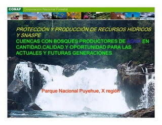 PROTECCIÓN Y PRODUCCIÓN DE RECURSOS HÍDRICOS
Y SNASPE
CUENCAS CON BOSQUES PRODUCTORES DE AGUA EN
CANTIDAD,CALIDAD Y OPORTUNIDAD PARA LAS
ACTUALES Y FUTURAS GENERACIONES




        Parque Nacional Puyehue, X región
 