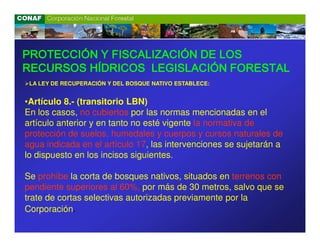 PROTECCIÓN Y FISCALIZACIÓN DE LOS
RECURSOS HÍDRICOS LEGISLACIÓN FORESTAL
 LA LEY DE RECUPERACIÓN Y DEL BOSQUE NATIVO ESTABLECE:


•Artículo 8.- (transitorio LBN)
En los casos, no cubiertos por las normas mencionadas en el
artículo anterior y en tanto no esté vigente la normativa de
protección de suelos, humedales y cuerpos y cursos naturales de
agua indicada en el artículo 17, las intervenciones se sujetarán a
lo dispuesto en los incisos siguientes.

Se prohíbe la corta de bosques nativos, situados en terrenos con
pendiente superiores al 60%, por más de 30 metros, salvo que se
trate de cortas selectivas autorizadas previamente por la
Corporación.
 