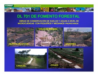 DL 701 DE FOMENTO FORESTAL
       OBRAS DE CONSERVACIÓN DE SUELOS Y AGUAS A NIVEL DE
      MICROCUENCAS CON PEQUEÑOS Y MEDIANOS PROPIETARIOS

                       DIQUE DE MADERA




MURETE DE SACOS                              GAVIONES




     CANALES                     ZANJAS
 